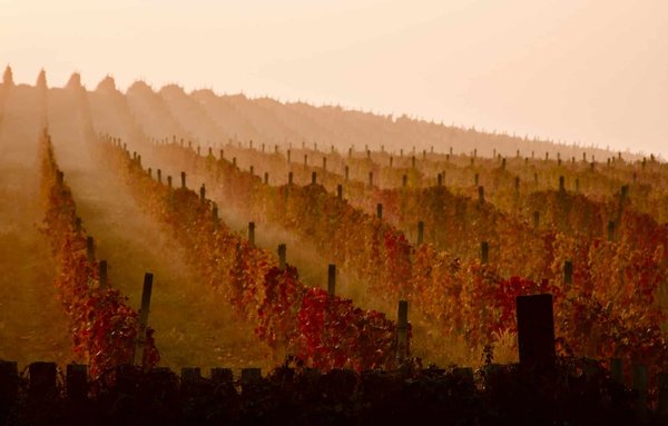 Quels sont les endroits les plus surprenants pour une retraite de bien-être en Asie ?