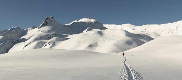 Quelles expu00e9riences de cabanes dans les arbres sont disponibles pour les familles dans le Jura?