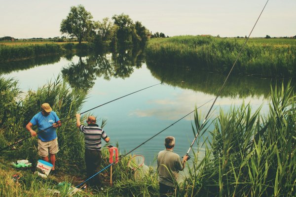 Quelles sont les techniques de pêche respectueuses de l'environnement en camping au bord d'un lac?